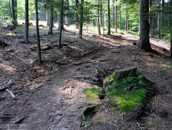 Rundweg zum Ort der letzten Schlacht des Pohorje-Bataillon